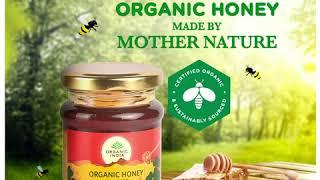 ORGANIC INDIA Wild Forest Honey | True Sweetness of Organic Honey