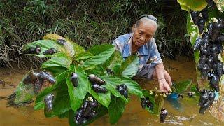 Grandma takes granddaughter to catch wild snails to make traditional Chinese food｜Guangxi Grandma