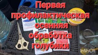 Первая ОСЕННЯЯ ОБРАБОТКА голубики в схеме