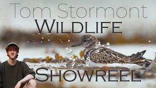 Wildlife Filmmaking Showreel | Tom Stormont 2023 |