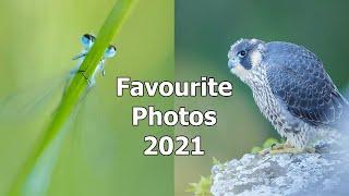 Paul Miguel Photography - My Favourite Wildlife Photos from 2021