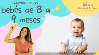 BEBE DE OCHO-NUEVE MESES ¿QUE ES LO NORMAL?