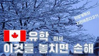 캐나다 유학후 이민시 반드시 챙겨야 하는 것들: 비영주권자가 받을 수 있는 금전적인 혜택