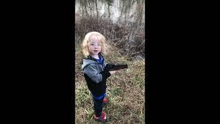 Umarex Steel Storm  .177 Caliber BB Gun Air Pistol. First Shots