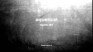 What does aquatical mean