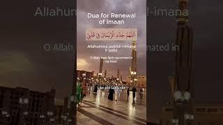 Dua for Renewal of Imaan #islam #muslim #viralvideo #shorts #trending #trendingvideos