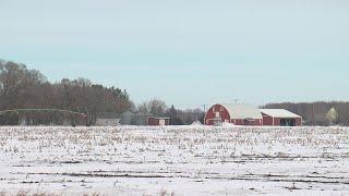 More Minnesota Farmers May Be Planting Wheat This Year Due To Russian Invasion Of Ukraine