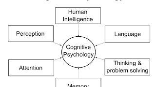 Cognitive Psychology Introduction