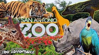 SAN ANTONIO ZOO TOUR! Reptile House, Aquarium, Rhinos, and more!