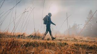 Relaxing Mountain Forest Walk  Golden Autumn ASMR / Rycerzowa in Beskidy mountains, Poland