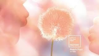 PANTONE 13-1023 Peach Fuzz, the Pantone Color of the Year 2024