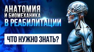 3 кита реабилитации: биомеханика, онтогенез и функциональная анатомия. Онлайн-экскурсия. Часть 2