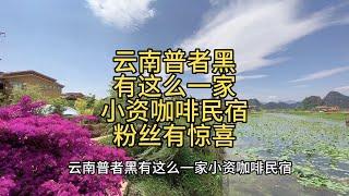 【小龙在版纳】云南，普者黑，小资咖啡民宿。2023-5-4