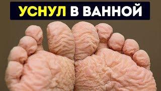 55 фактов о вашем теле, которые вас удивят