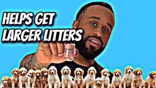 This Secret Helps increase Larger litter!￼