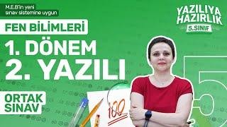 KİM 100 İSTER? 5.Sınıf Fen Bilimleri - 1. Dönem 2.Yazılıya Hazırlık 2024-2025 Sınav Konuları Tekrarı