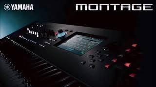 Yamaha Montage 7 und Tyros 5