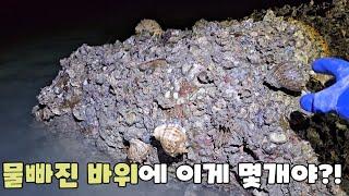 물길 열리고 건너간 섬?! 쓸어 담는다는고! ft.실미도 an amazing uninhabited island