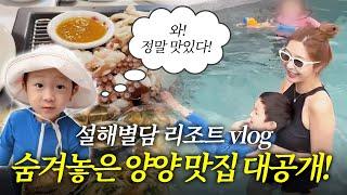 숨겨진 양양 세꼬시 맛집 공개! 야외 온수풀이 있는 양양 리조트 설해별담 vlog