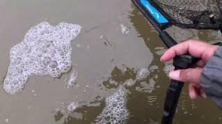 Winter Steelhead Fishing On Ohio's Lake Erie Tributary 2024!!! Spawn Sacs/Mermaid Lure!!