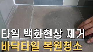 타일 백화현상 완벽하게 복원시키는 방법/ 백화현상 없애는 셀프청소방법/ 매직청소TV