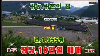 물번,660번) 인삼 밭 1.955평 매매, 평당,10만원 도시지역,자연녹지지역,준공업지역, 강원도 정선군 여량면 아우라지공원 관관지역~ 지목은 전으로 나오며 완전 평지입니다,