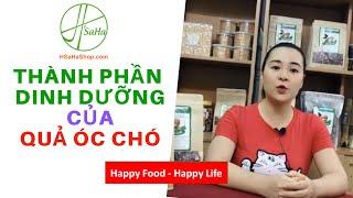 Giá Trị Dinh Dưỡng Của Hạt Óc Chó | HSaHa Shop