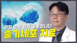 관절 연골 손상의 희망 줄기세포 치료