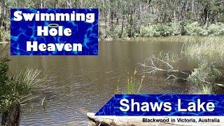 Swimming in Shaws Lake in the Lerderderg State Park, Victoria