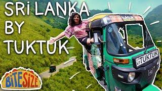 How We Rented a TukTuk in Sri Lanka | Everything You Need To Know Guide