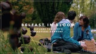 Top things to do in Belfast