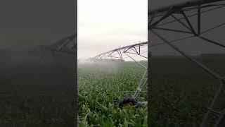 Center Pivot Irrigation: Advantages and Disadvantages 