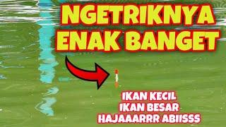 Baru Tau Ternyata Begini Bikin Umpan Agar Ikan Rame Dan Induk Makan