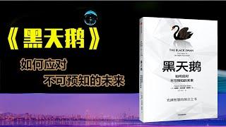 《黑天鹅》 如何应对不可预知的未来  随机漫步的傻瓜作者塔勒布 充满智慧的预言之书 每天听本书 听世界