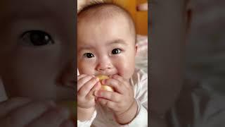 "Adorable Baby Yiyi Trying to Chew Fruit with No Teeth!  #cutebaby #babylove #babyvideos