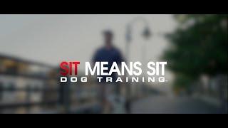 Welcome to Sit Means Sit Dog Training, Wilmington.