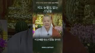 (피눈물없는스님들)  4 태명혜우스님 출가수행기(안양 수리산 용화사)