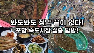 전국 최대규모 포항 죽도시장 심층 탐방!! 인당 5500원짜리 엄청난 백반집 방문! (2부)