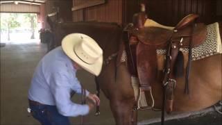 Dennis Moreland Tack: How to Put a Running Martingale on a Horse
