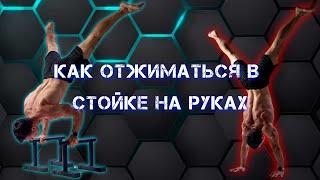 КАК ЛУЧШЕ отжиматься в стойке? На полу или на брусьях?