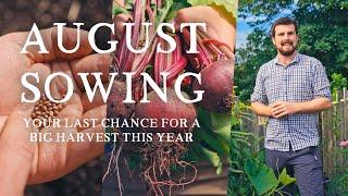 23 Crops You Need to Sow in August | Last Chance