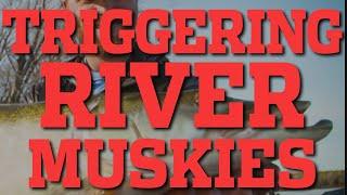 In-Fisherman | Triggering River Muskies