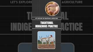 Traditional indigenous agriculture practice || Natural Farming || #shorts #explore #agriculture