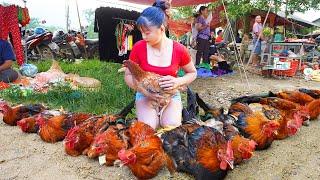 Harvesting Many Chicken (Rooster) goes to the market sell - Building farm | Phuong Daily Harvesting