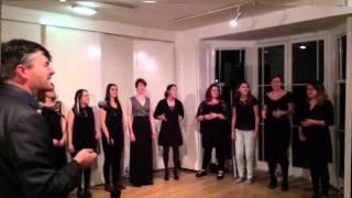 James - Pat Metheny (choir version by London Vocal Project)