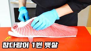 참다랑어 1번 뱃살 (혼마구로 / 참치 손질)