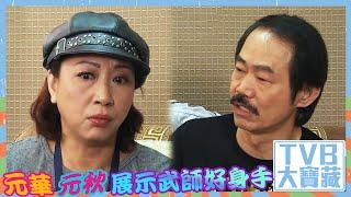 TVB大寶藏｜元華、元秋展示武師好身手｜元華｜元秋