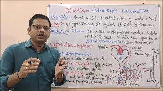 Diuretic (Part-01) Basic Introduction of Diuretics | Diuretics | What is Diuretic | Diuretic Agents