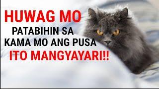 HUWAG MO PATABIHIN SA KAMA MO ANG PUSA MO GANITO ANG MANGYAYARI!