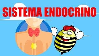 🟥SISTEMA ENDOCRINO EXPLICADO FÁCILGLÁNDULAS Y HORMONAS🟥